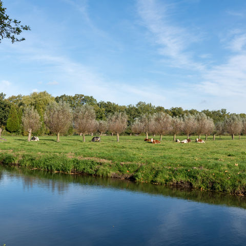 LEU Langbroekerdijk 2018 01