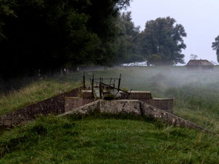 Nature Grass Outdoor Fog Mist Farm 460650 Pxhere.Com