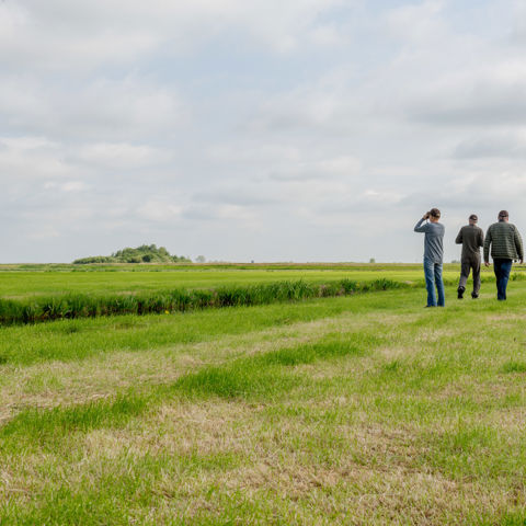 Weidevogels 2019 LEU 06