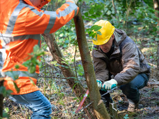 Natuurwerkdag 2019 1