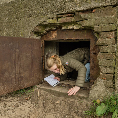 Campagne Meisje Grebbelinie