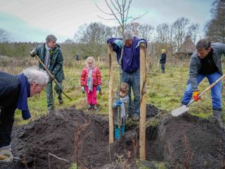 Bomen Planten