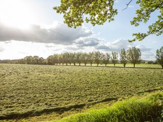 Landschapswijzer Beeld Floris Scheplitz