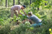 Bedrijvendag Met Smart Connections