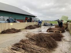 Plan Boom Woudenberg 1