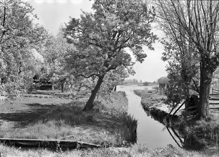 Vechtplassen