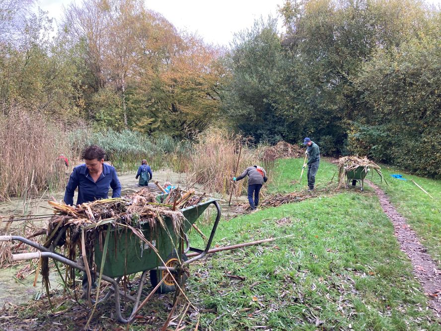 Natuurwerkdag Groep Bij Poelen Zeist