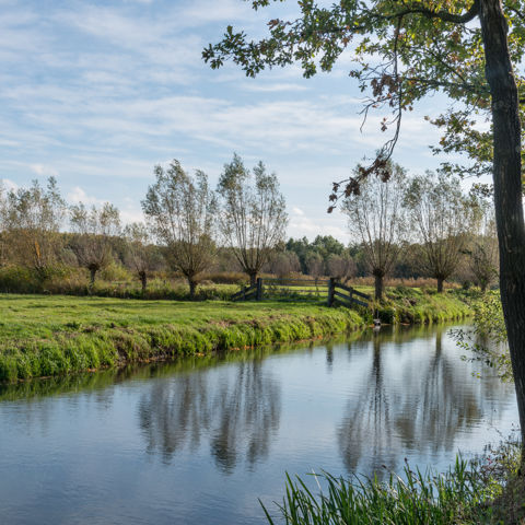 LEU Langbroekerdijk 2018 02