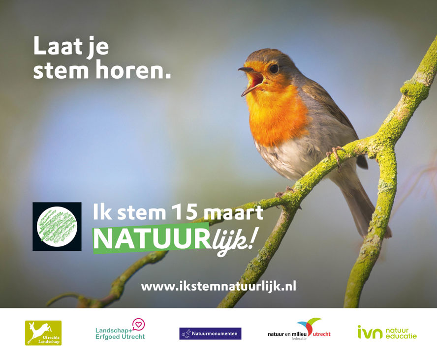 Puur Stem Natuurlijk Rechthoek (1)