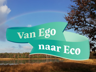 Teaser Eco