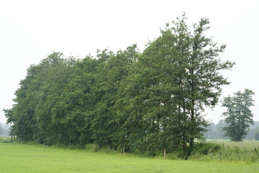 DSC01942