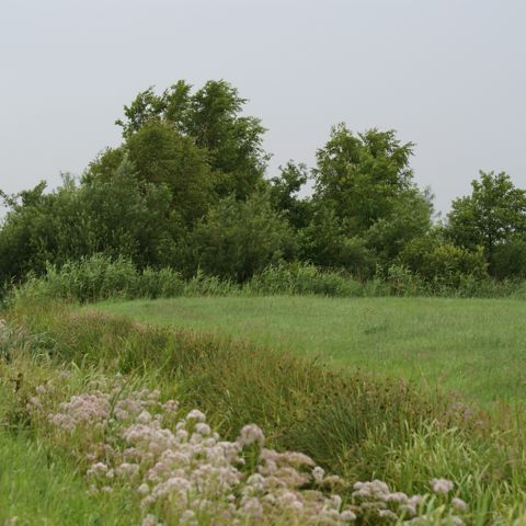Landschapselementen 1