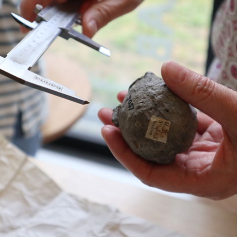 Foto Meldpunt Archeologie 2