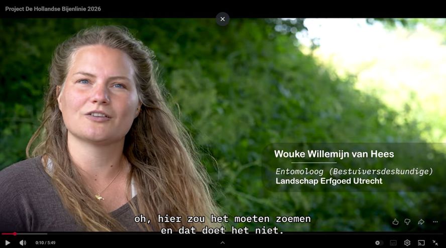 Beeld Willemijn Uit Video Hollandse Bijenlinie