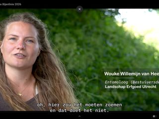 Beeld Willemijn Uit Video Hollandse Bijenlinie