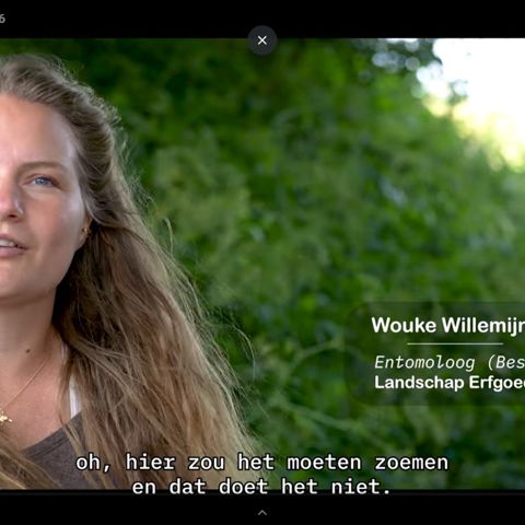 Beeld Willemijn Uit Video Hollandse Bijenlinie