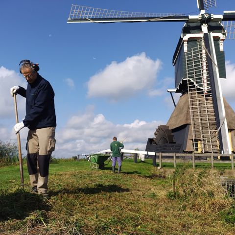 2024 09 23 001 Middelste Molen (1)